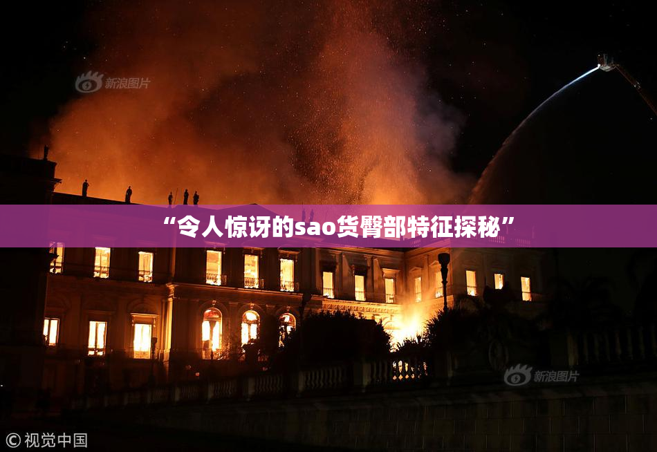 “令人惊讶的sao货臀部特征探秘”