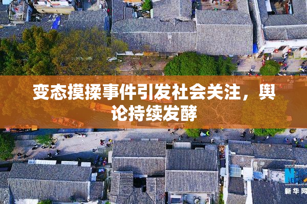 变态摸揉事件引发社会关注，舆论持续发酵
