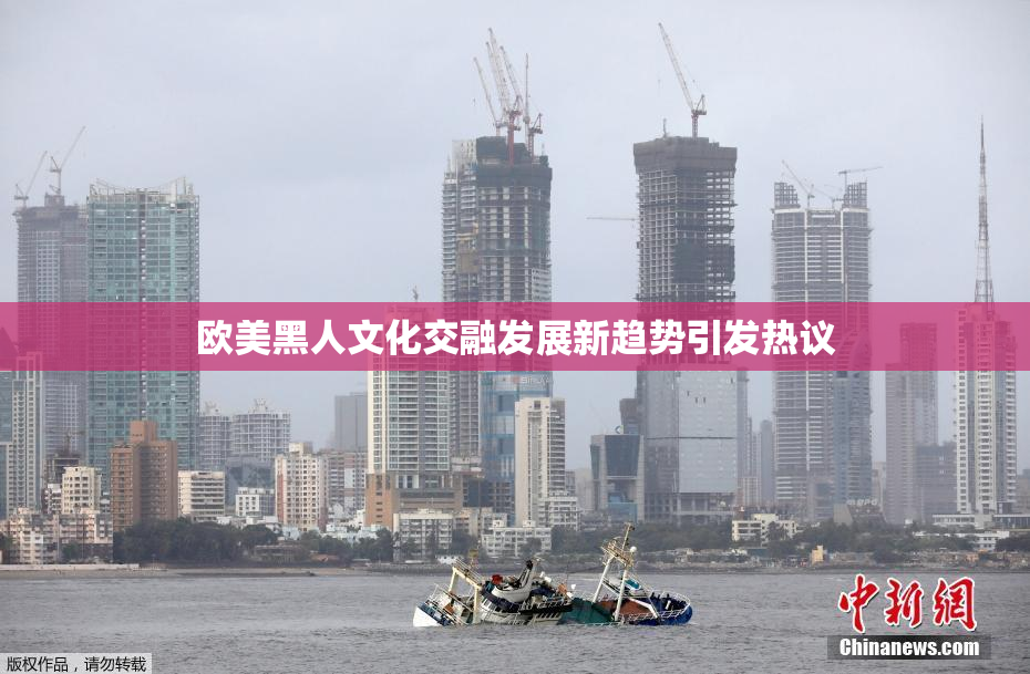 欧美黑人文化交融发展新趋势引发热议