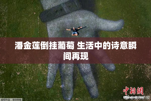 潘金莲倒挂葡萄 生活中的诗意瞬间再现