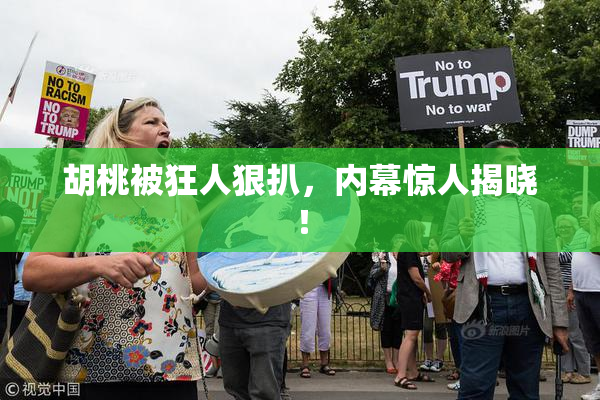 胡桃被狂人狠扒，内幕惊人揭晓！