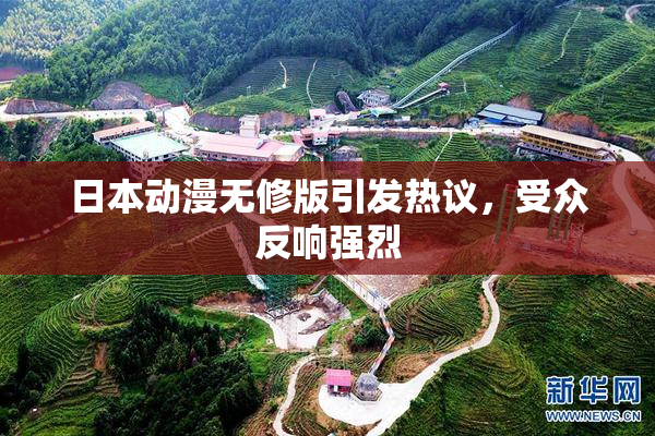 日本动漫无修版引发热议，受众反响强烈