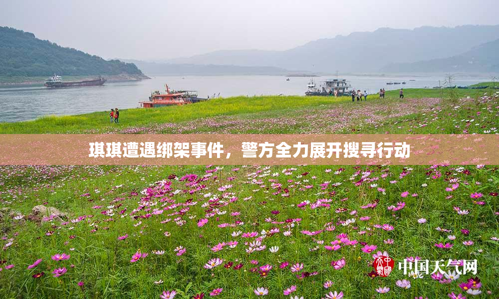 琪琪遭遇绑架事件，警方全力展开搜寻行动