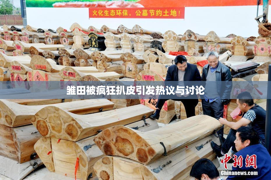 雏田被疯狂扒皮引发热议与讨论
