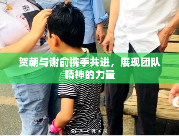 贺朝与谢俞携手共进，展现团队精神的力量