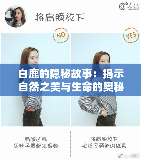 白鹿的隐秘故事：揭示自然之美与生命的奥秘