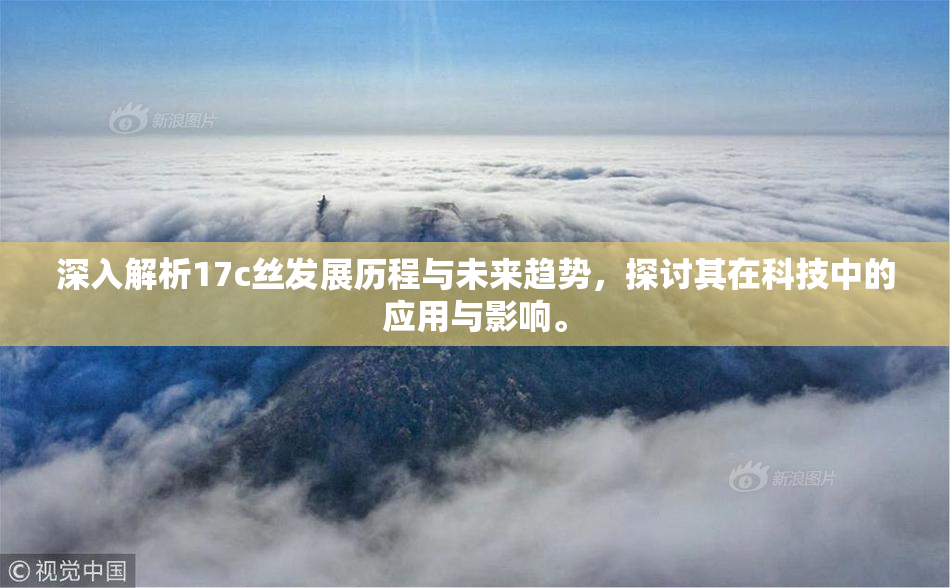 深入解析17c丝发展历程与未来趋势，探讨其在科技中的应用与影响。