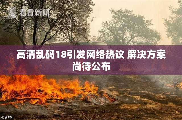高清乱码18引发网络热议 解决方案尚待公布