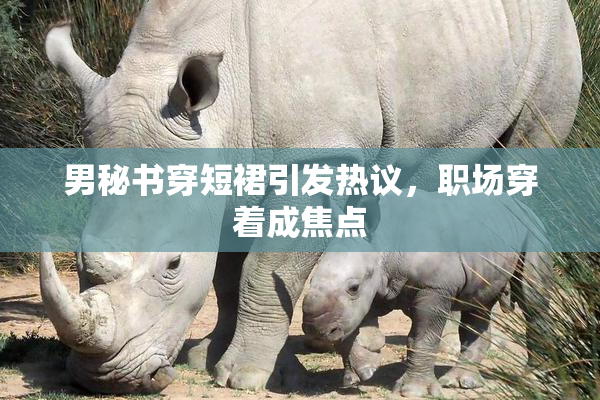 男秘书穿短裙引发热议，职场穿着成焦点