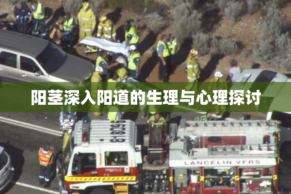 阳茎深入阳道的生理与心理探讨