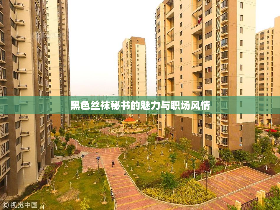 黑色丝袜秘书的魅力与职场风情