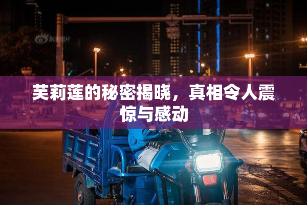 芙莉莲的秘密揭晓，真相令人震惊与感动
