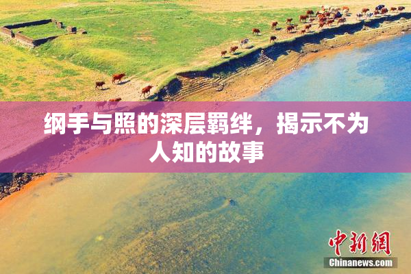 纲手与照的深层羁绊，揭示不为人知的故事