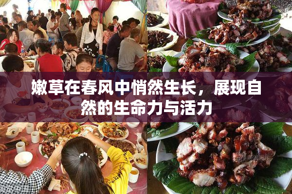 嫩草在春风中悄然生长，展现自然的生命力与活力