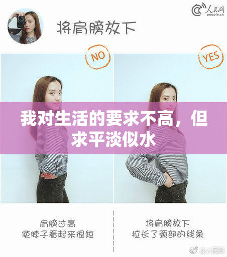 我对生活的要求不高，但求平淡似水
