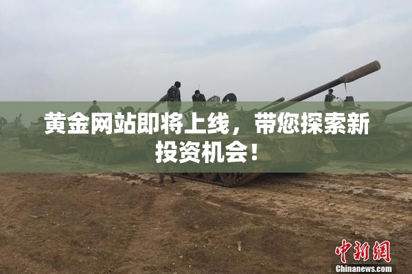 黄金网站即将上线，带您探索新投资机会！