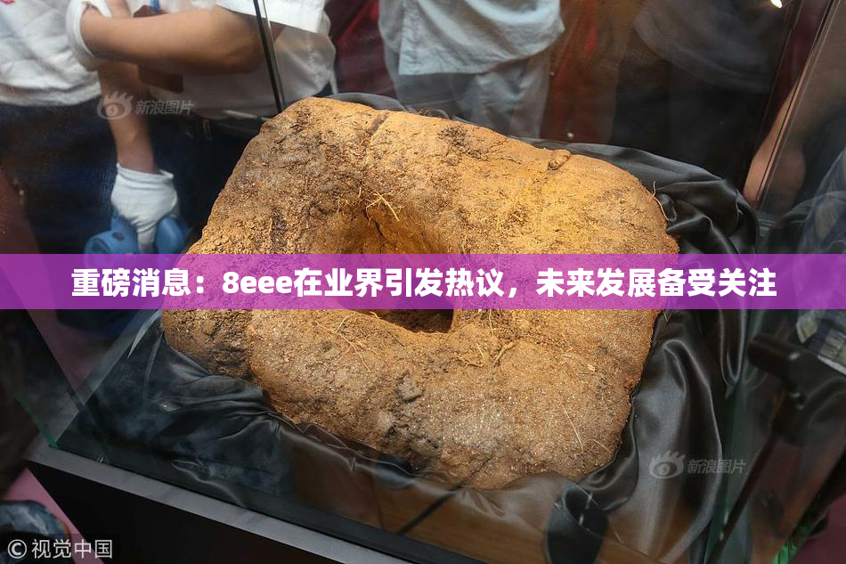 重磅消息：8eee在业界引发热议，未来发展备受关注