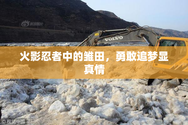 火影忍者中的雏田，勇敢追梦显真情