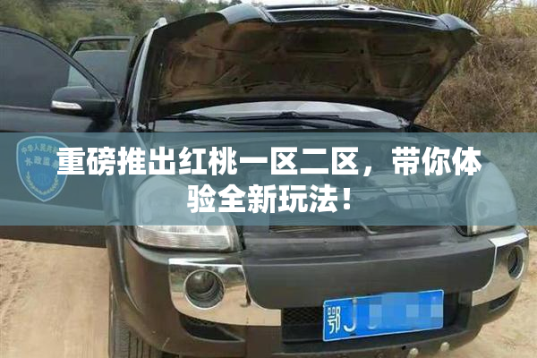 重磅推出红桃一区二区，带你体验全新玩法！