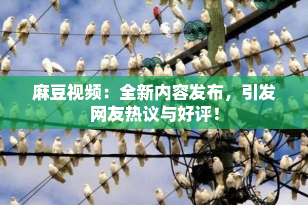 麻豆视频：全新内容发布，引发网友热议与好评！