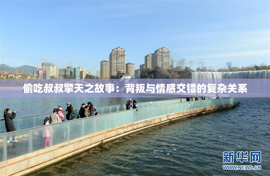 偷吃叔叔擎天之故事：背叛与情感交错的复杂关系