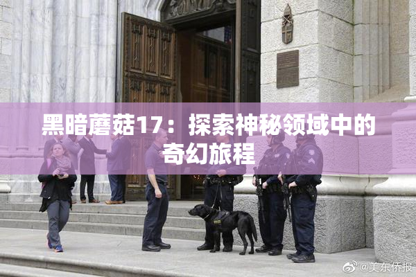 黑暗蘑菇17：探索神秘领域中的奇幻旅程