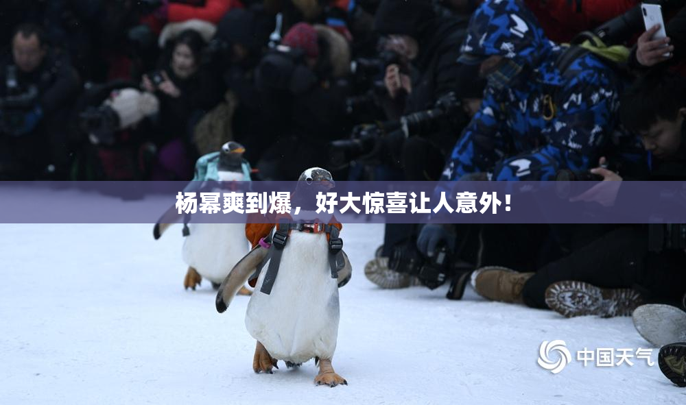 杨幂爽到爆，好大惊喜让人意外！