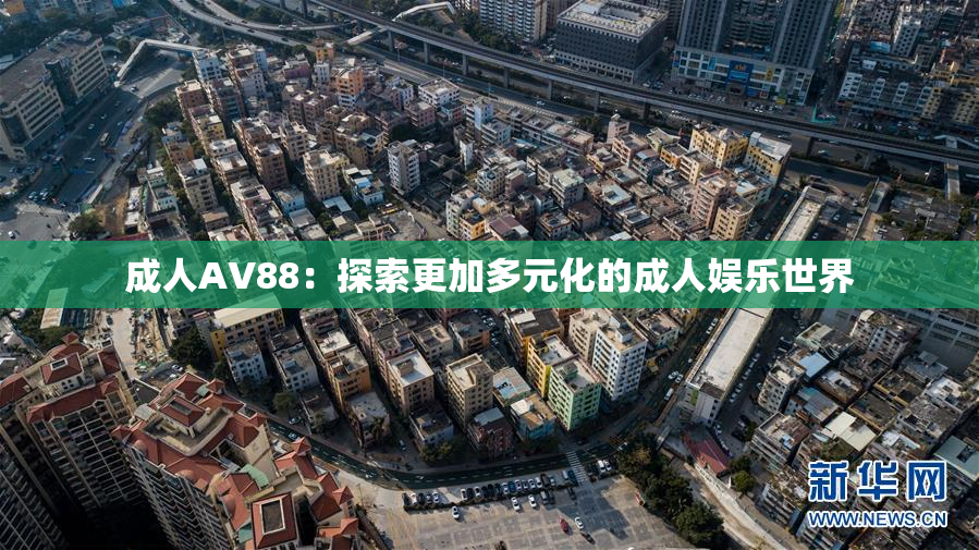 成人AV88：探索更加多元化的成人娱乐世界