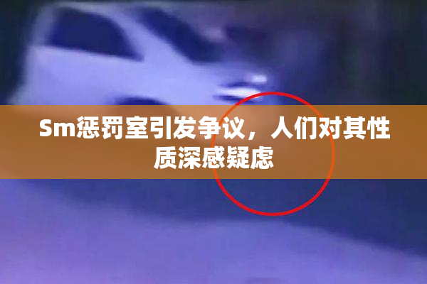 Sm惩罚室引发争议，人们对其性质深感疑虑