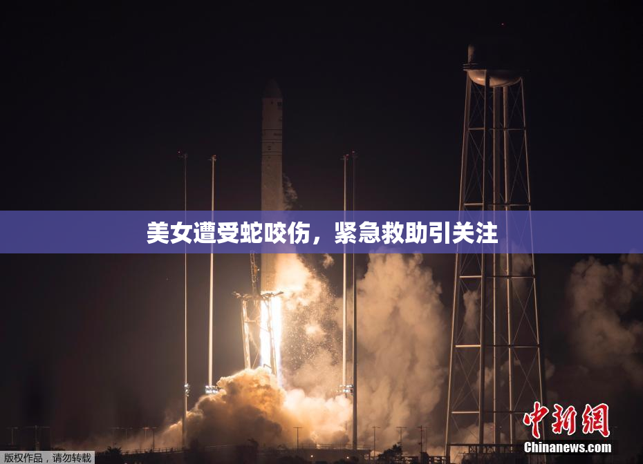 美女遭受蛇咬伤，紧急救助引关注