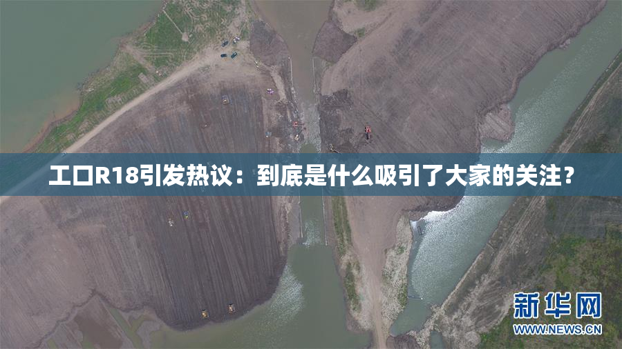 工口R18引发热议：到底是什么吸引了大家的关注？