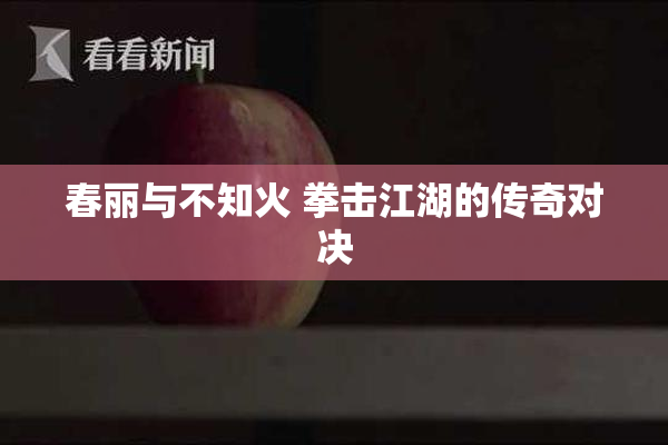 春丽与不知火 拳击江湖的传奇对决