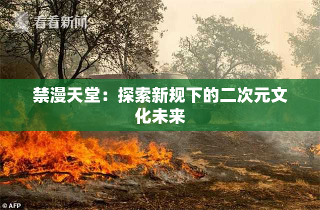禁漫天堂：探索新规下的二次元文化未来
