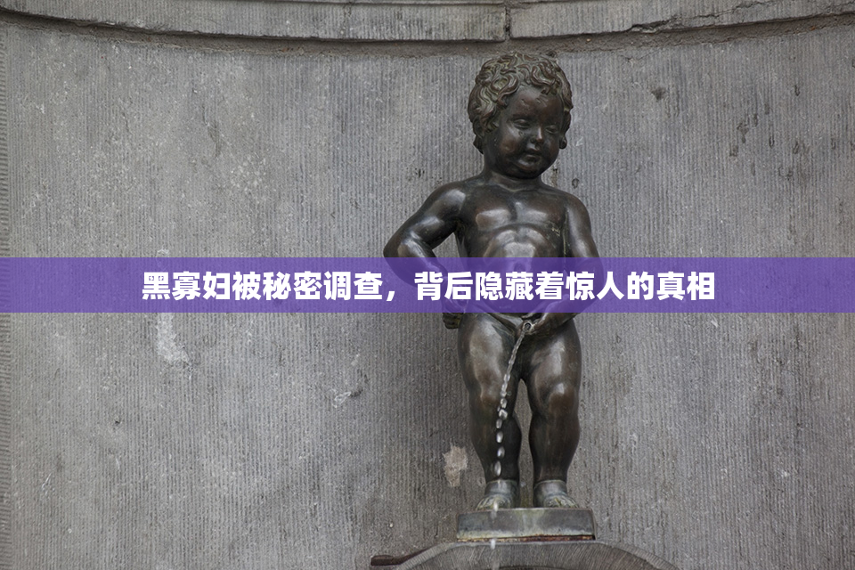 黑寡妇被秘密调查，背后隐藏着惊人的真相