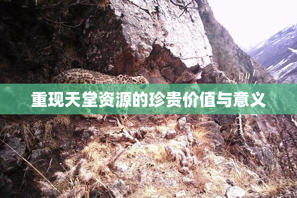 重现天堂资源的珍贵价值与意义