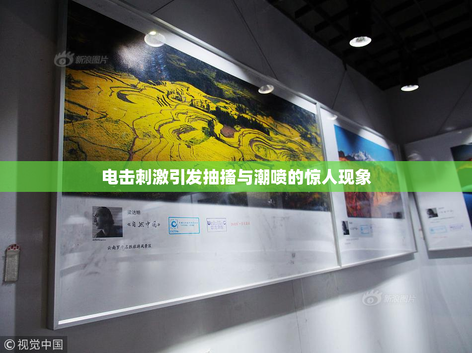 电击刺激引发抽搐与潮喷的惊人现象