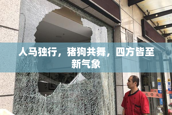 人马独行，猪狗共舞，四方皆至新气象