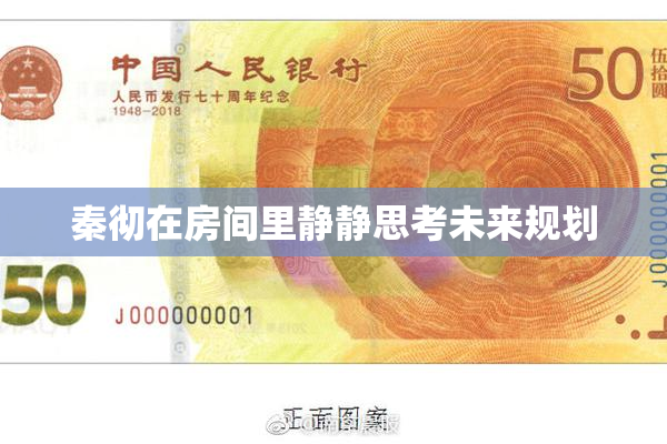 秦彻在房间里静静思考未来规划