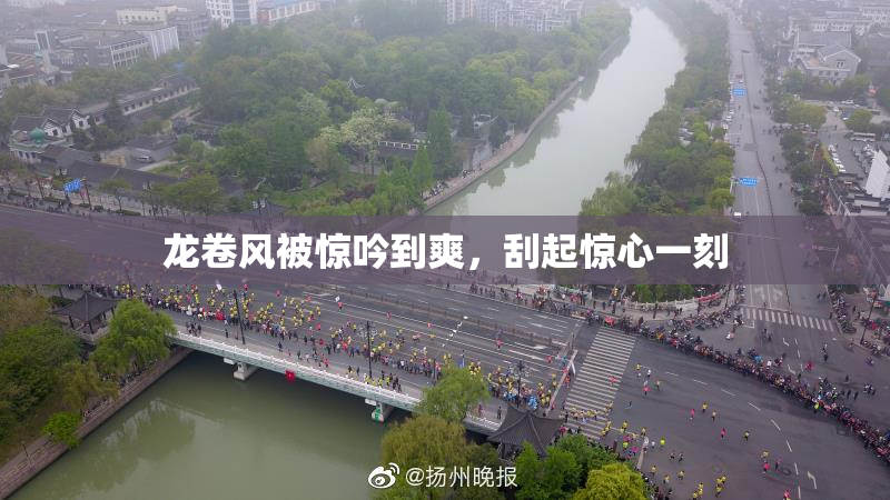 龙卷风被惊吟到爽，刮起惊心一刻