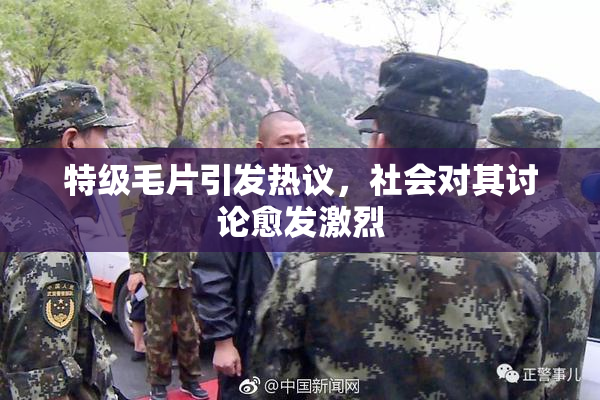 特级毛片引发热议，社会对其讨论愈发激烈