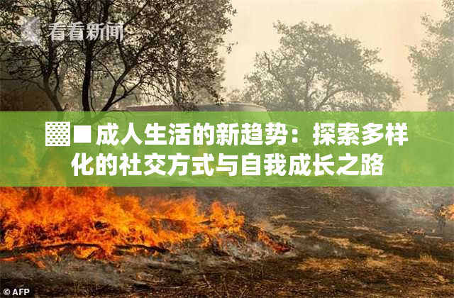 ▓■成人生活的新趋势：探索多样化的社交方式与自我成长之路