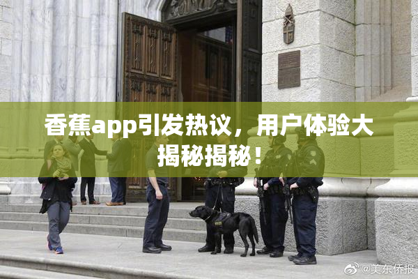 香蕉app引发热议，用户体验大揭秘揭秘！