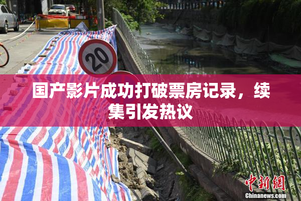 国产影片成功打破票房记录，续集引发热议