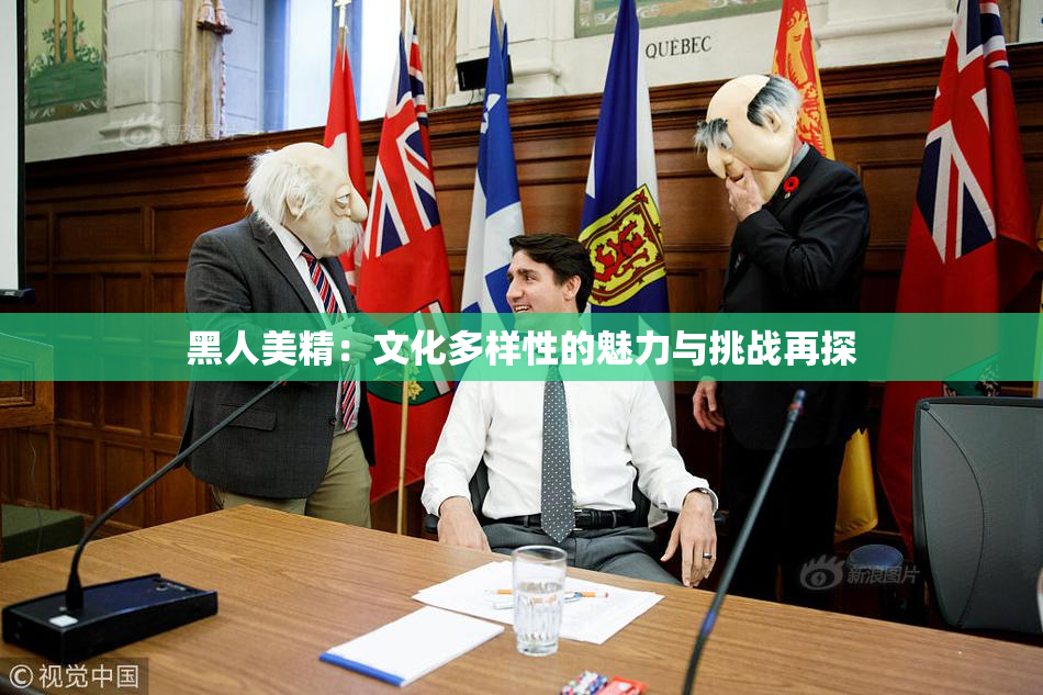 黑人美精：文化多样性的魅力与挑战再探