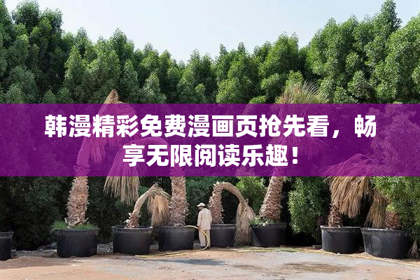 韩漫精彩免费漫画页抢先看，畅享无限阅读乐趣！