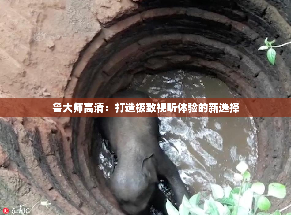 鲁大师高清：打造极致视听体验的新选择