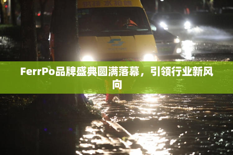 FerrPo品牌盛典圆满落幕，引领行业新风向