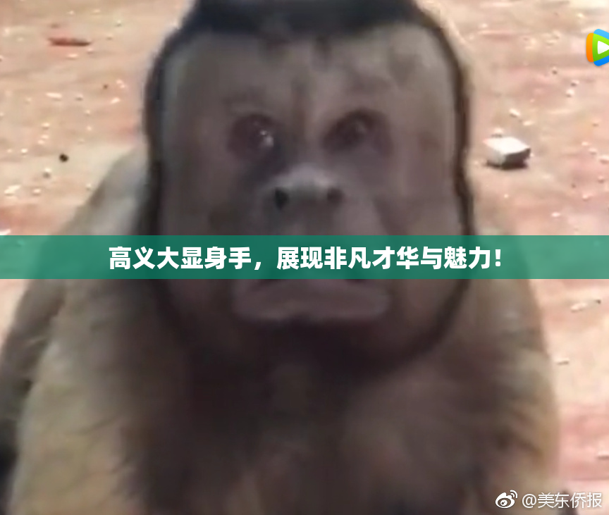 高义大显身手，展现非凡才华与魅力！