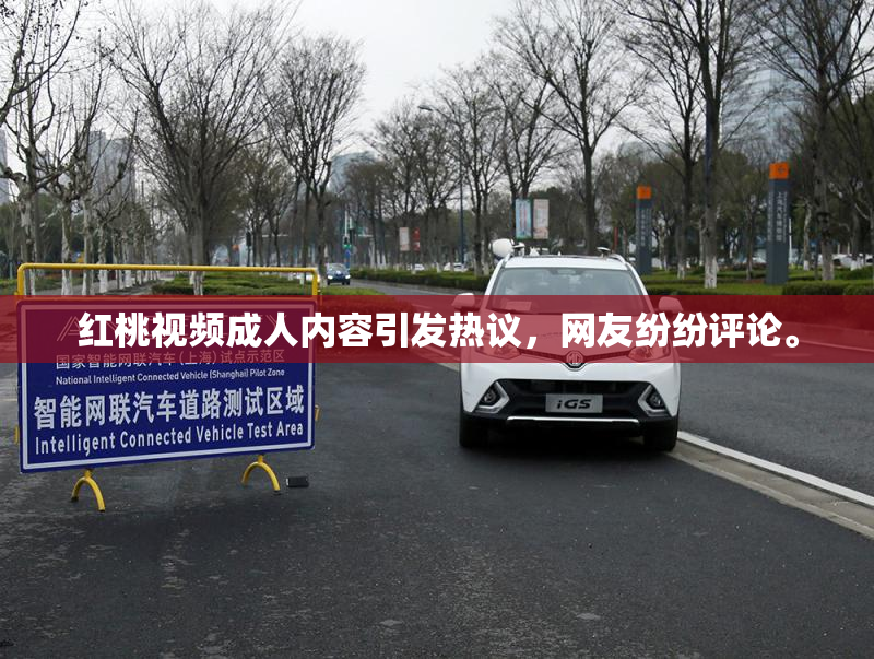 红桃视频成人内容引发热议，网友纷纷评论。