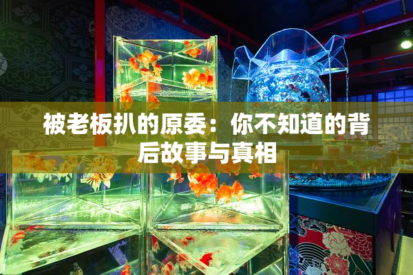 被老板扒的原委：你不知道的背后故事与真相